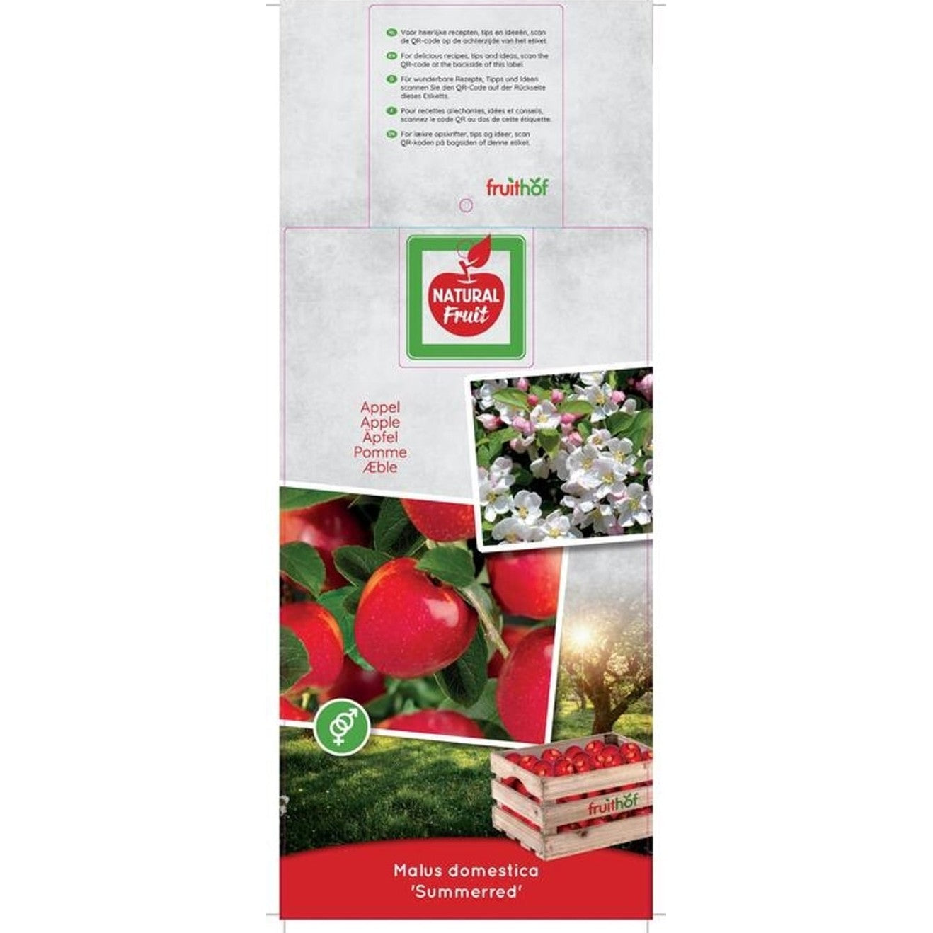 Äpple – Malus domestica 'Summerred' - C12 250-275 CM Hoogstam